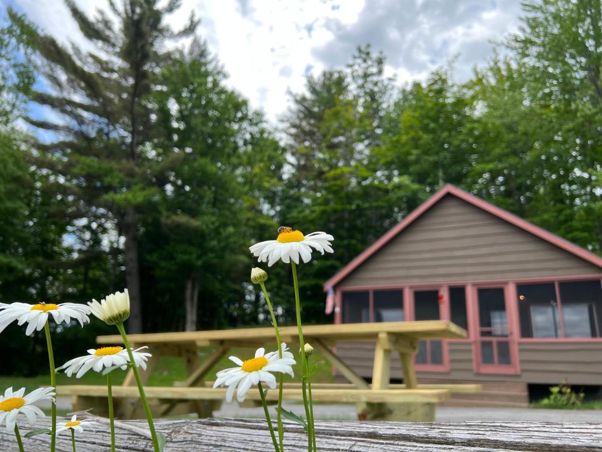 Adirondack Lake Cabins Hotell Indian Lake Eksteriør bilde
